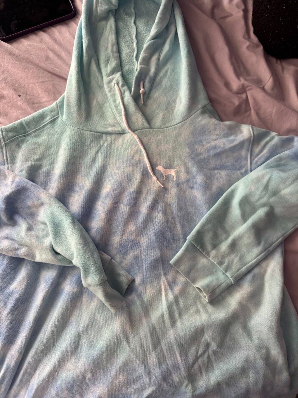 VS Pink Hoodie